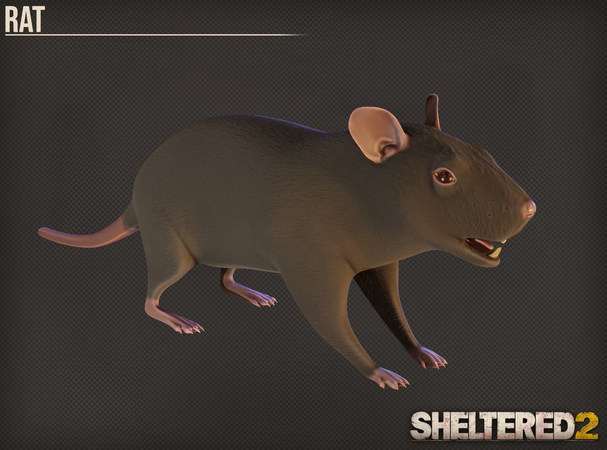 Sheltered 2 tweet media