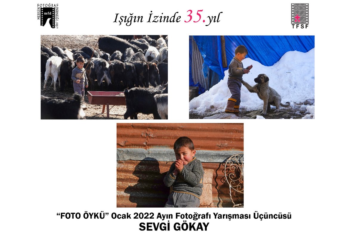 Sayın Üyelerimiz ve Fotoğraf Dostlarımız,
"Foto Öykü"konulu Ocak ayı Ayın Fotoğrafı Yarışması sonuçlanmıştır. Jüri ve salonumuzda bulunan konuklarımız tarafından yapılan oylama sonucunda en çok oy alan fotoğraflar dereceye alınmıştır.