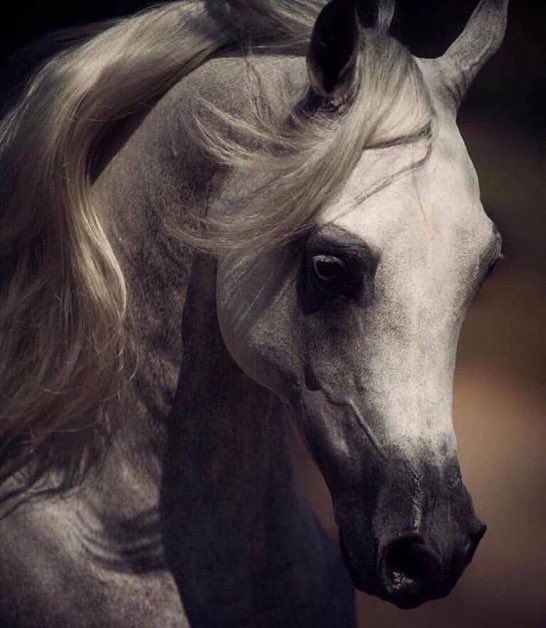 السكوت ابلغ …من بعض الحكي ؛؛
وش حيلتي.. للبوح والواقع اصم ؛؛
#حنوالحربي….✍🏻