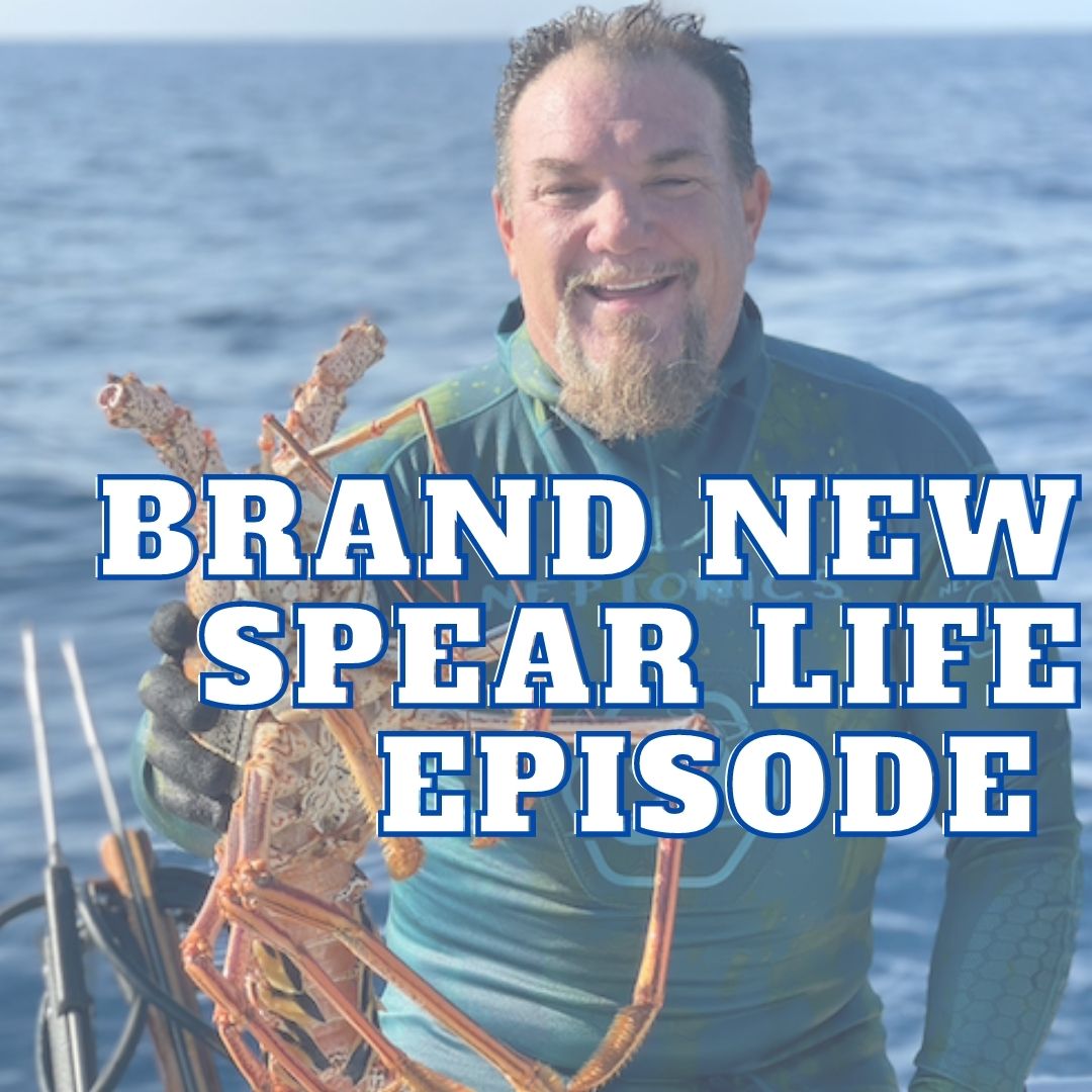 Outdoor_TV's tweet photo. A NEW episode of Spear Life is airing TODAY at 6:30 PM EST on the Outdoor Channel 👏🏼👏🏼👏🏼

#SpearLifeTV #SpearLife #Jon #newepsiode #outdoorchannel #SL #spearfishing #outdoors #travel https://t.co/njX917kl0e
