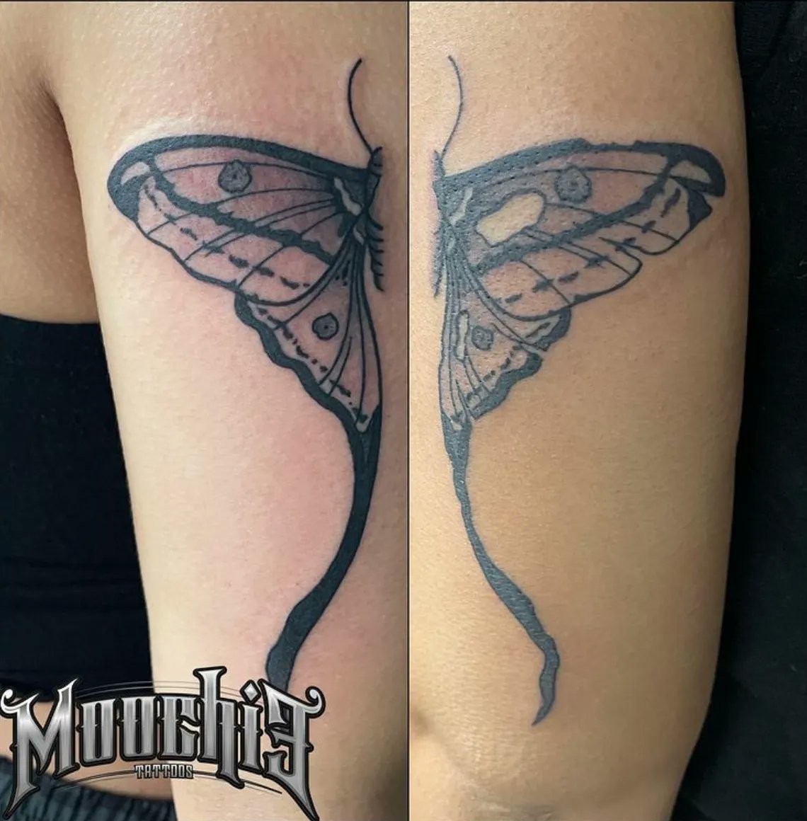 Luna Moth Tattoo Studio  Freshly done spine tattoo by Tony Davis   Facebook