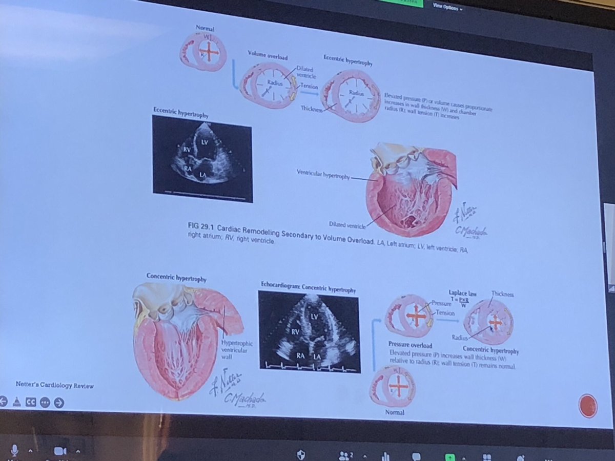 Chris Naples tweet media