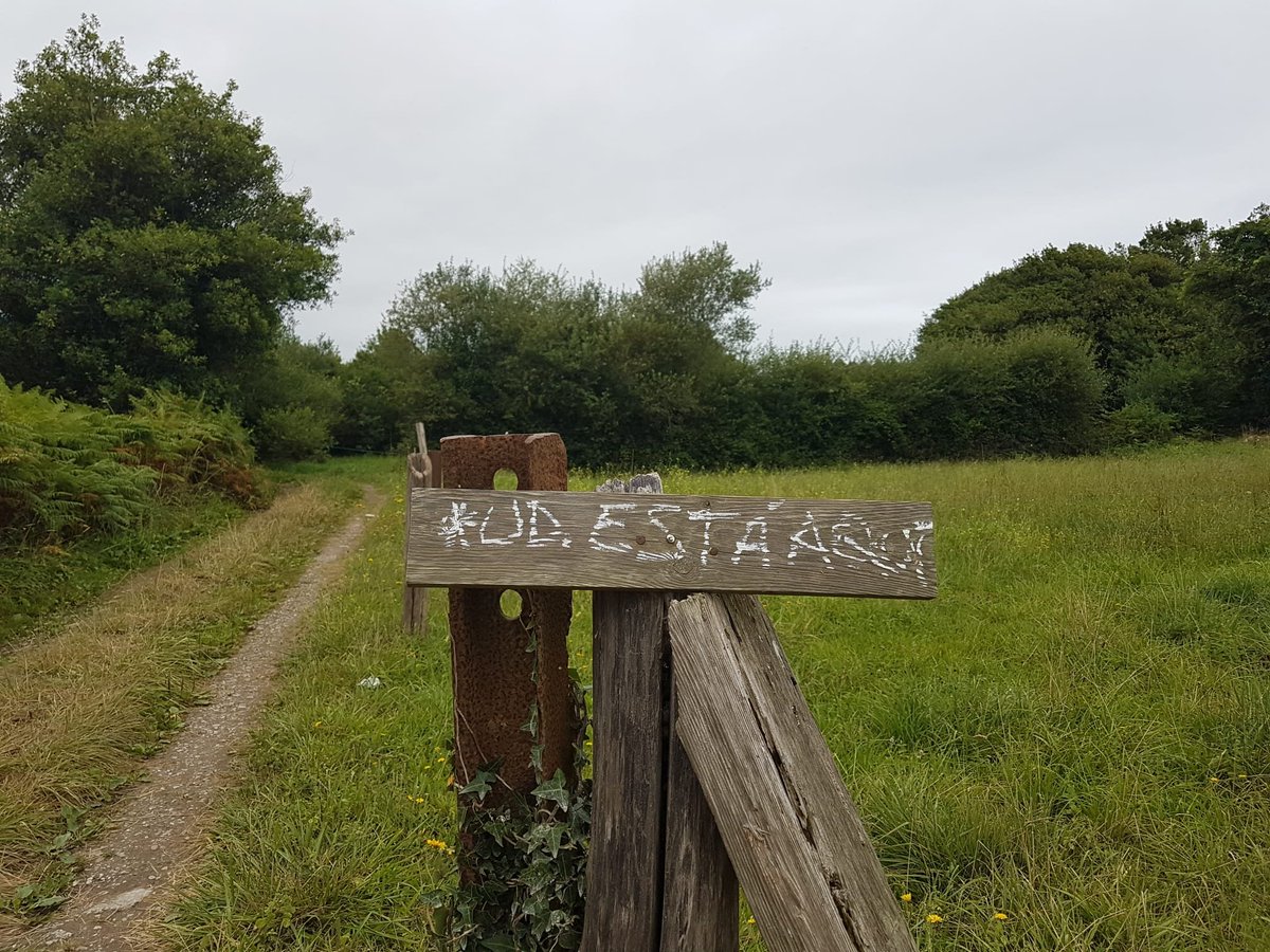 aleteovolvoreta's tweet photo. Aquí, ahora. Juntos
#EnCamino
#EnTránsito
#Aleteos
#Volvoretadas
#Recuerdos
#Certezas
🌎Somewhere near Celorio. https://t.co/16f9f5DIQ5