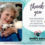 Photo by Muddy Paws Second Chance Rescue (@muddypawsNE)