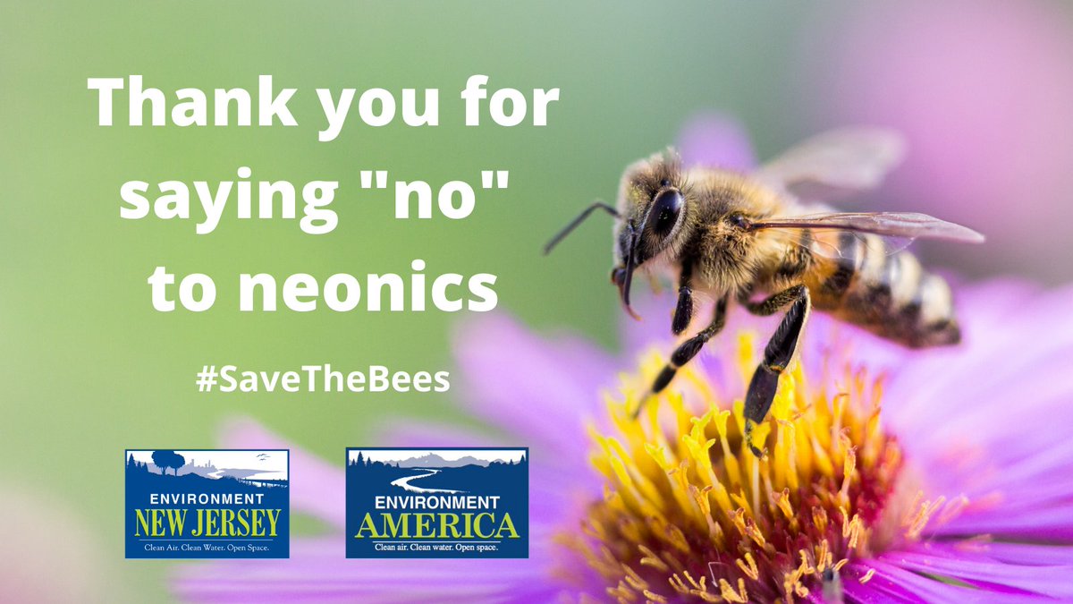 This just in: <a href="/GovMurphy/">Governor Phil Murphy</a> signed legislation to #SaveTheBees by limiting the most common uses of #neonics in our state.

Learn more here: environmentnewjersey.org/news/ame/gov-m…