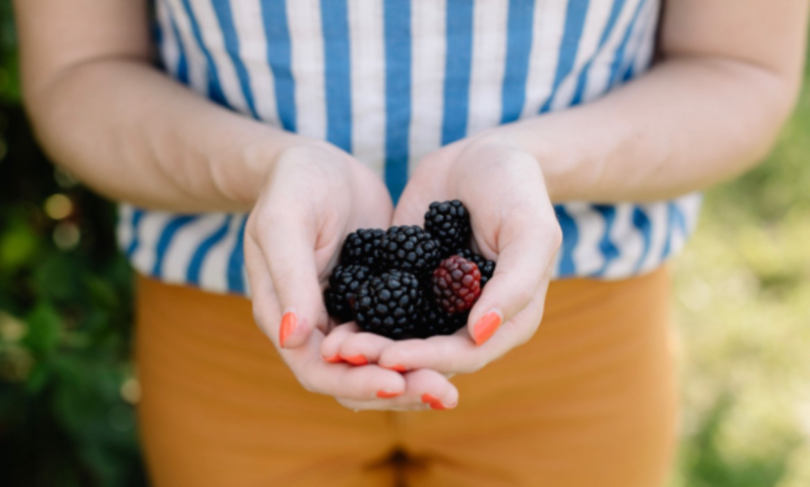 IBEX Grows tweet media