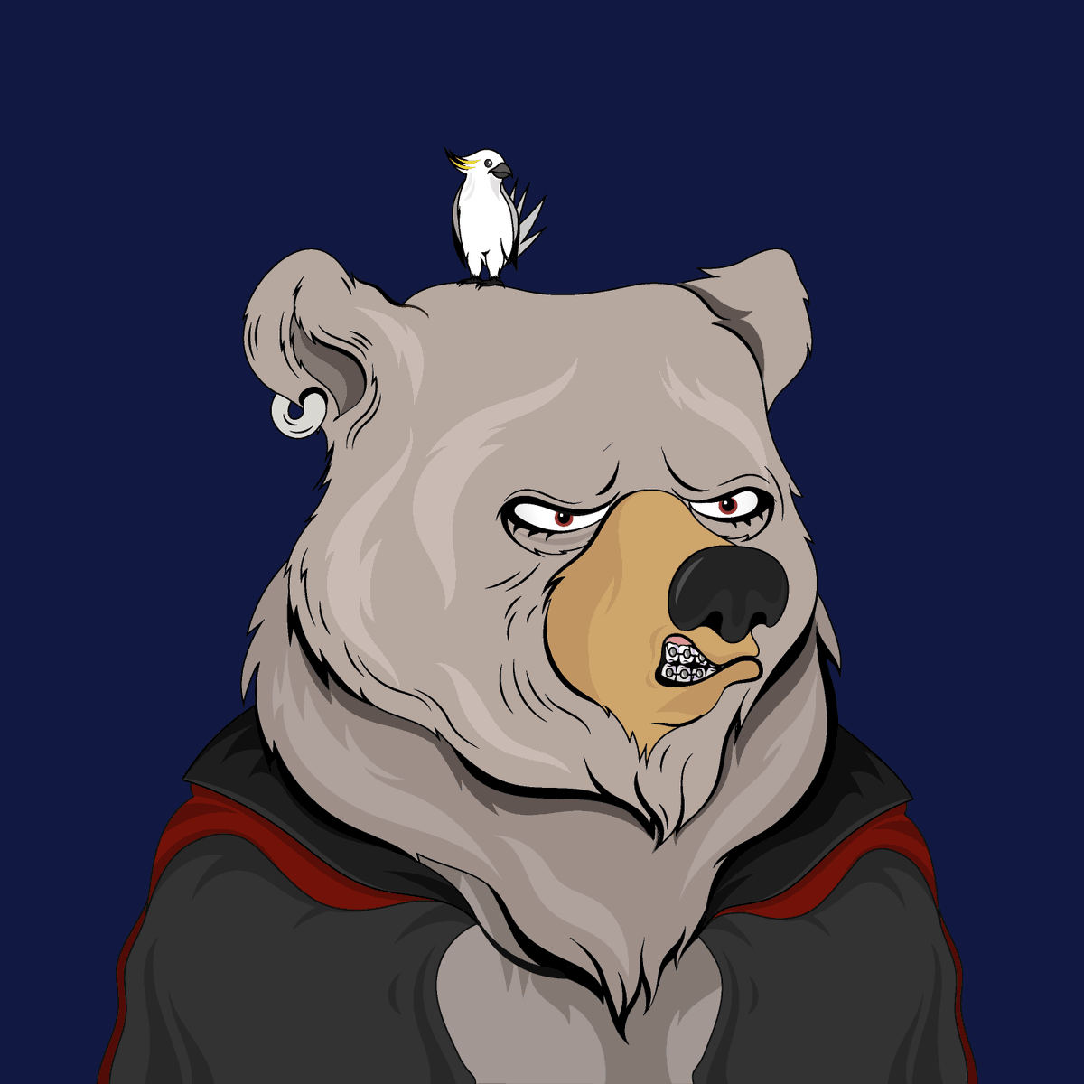 JamesDHaIIiday's tweet photo. I hope all my Fancy Bear Friends will be tuning in later on tonight! Me and my posse will see you there 😏 @FancyBearsMeta #NFTCommmunity #NFTs #KeepItFancy https://t.co/ek6oV49jQ7