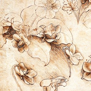 Leonardo da Vinci’s sketches