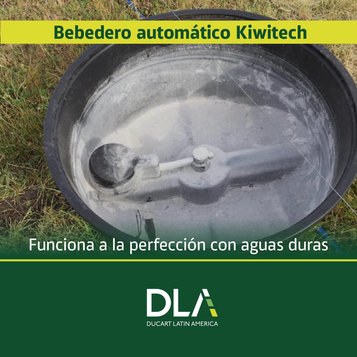 DlaUruguay's tweet photo. Conozca nuestros bebederos. Duración de 20 años, transportables, fáciles de limpiar. Incomparables en costo-beneficio.  @PlanAgro @INIA_UY @revistaverdeuy https://t.co/J3ewjgJ8NI