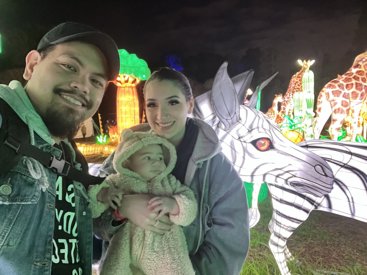 Marcus Crescini tweet media