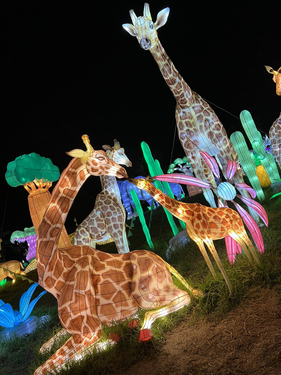 Marcus Crescini tweet media