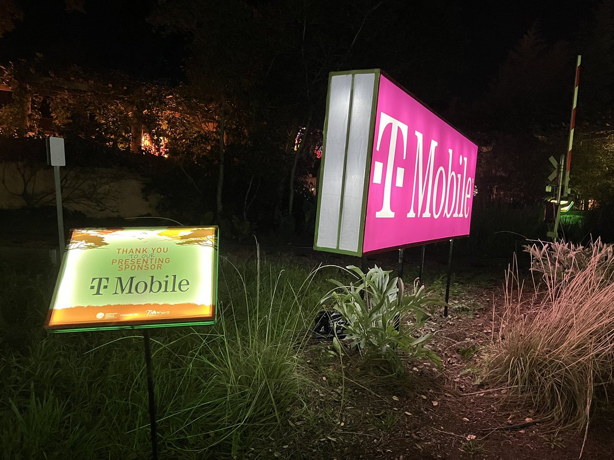 Marcus Crescini tweet media