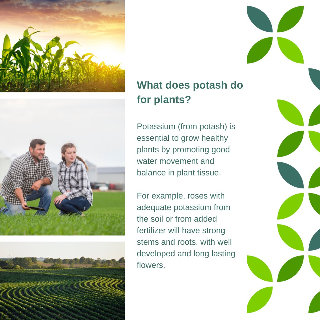 NutrienLTD tweet picture