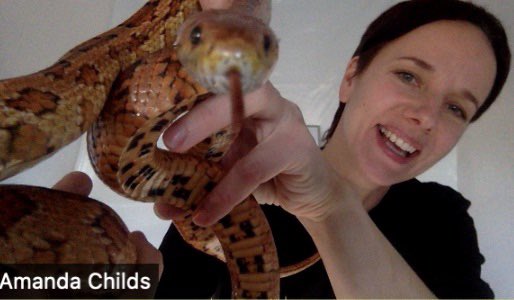 SparkingStem's tweet photo. We had quite a range of visiting animals in #onlinestem today as we explored heart biology and learned about their circulatory systems! #STEMeducation #STEMEd #onlinelearning https://t.co/DAZ19UV6eT
