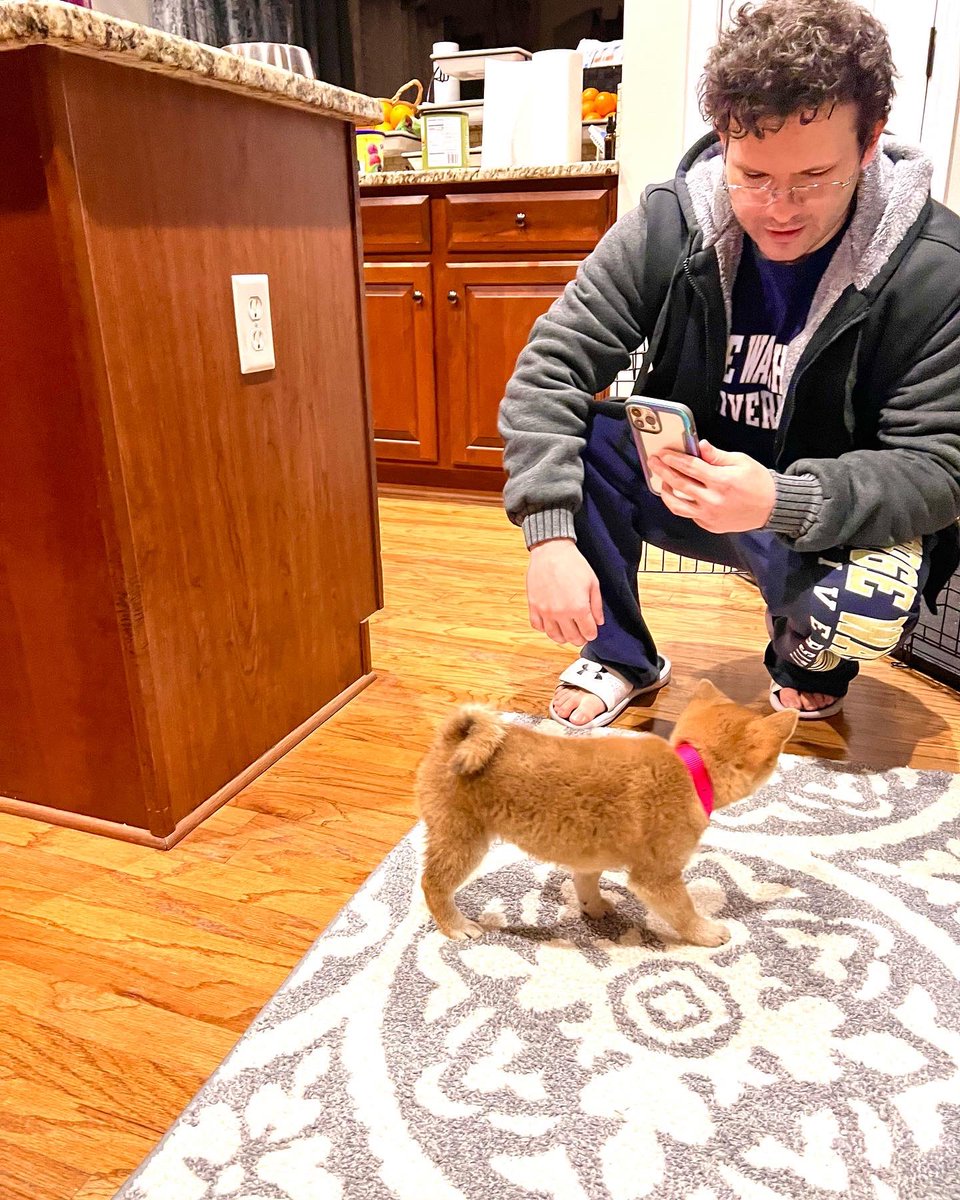 dinetthok2's tweet photo. フシ
Fushi
New Doge #doge #shibainu #fushi #newnangeorgia https://t.co/QcdKh1qGn0