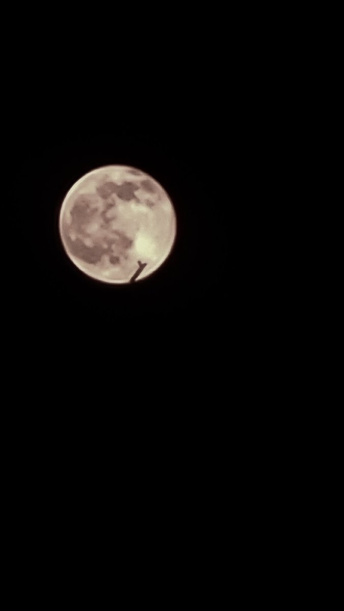 RecepYesilbas11's tweet photo. Plein lune 🌛 https://t.co/bWPUJ4FGX9
