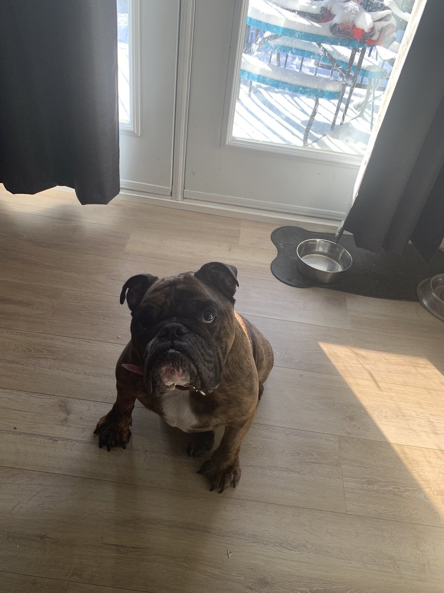 My firts pic on Twitter is bud ps : Onelove