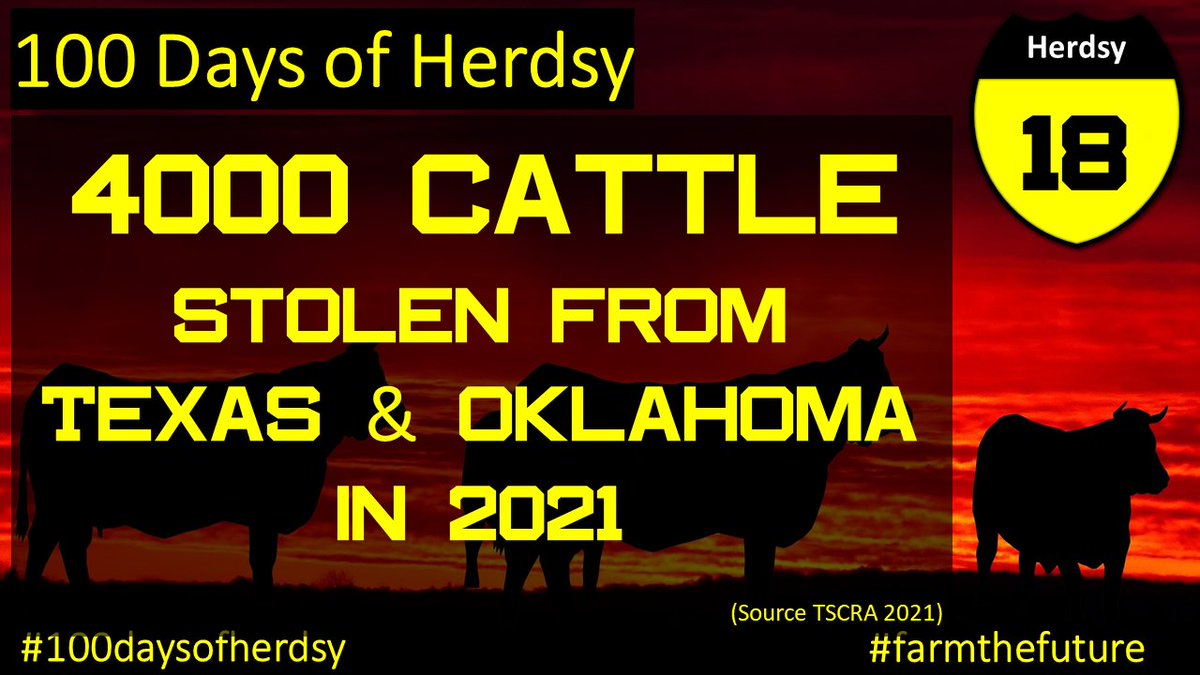According to the TSCRA 4000 Cattle were stolen from Texas &amp; Oklahoma in 2021. Cattle Rustling in TX &amp; OK are on the rise. Cattle Theft hits honest ranchers hard. Don't delay, get @herdsy today &amp; add 24/7 Monitoring to your Ranches Capability.
#texas #cattlerustlers #oklahoma