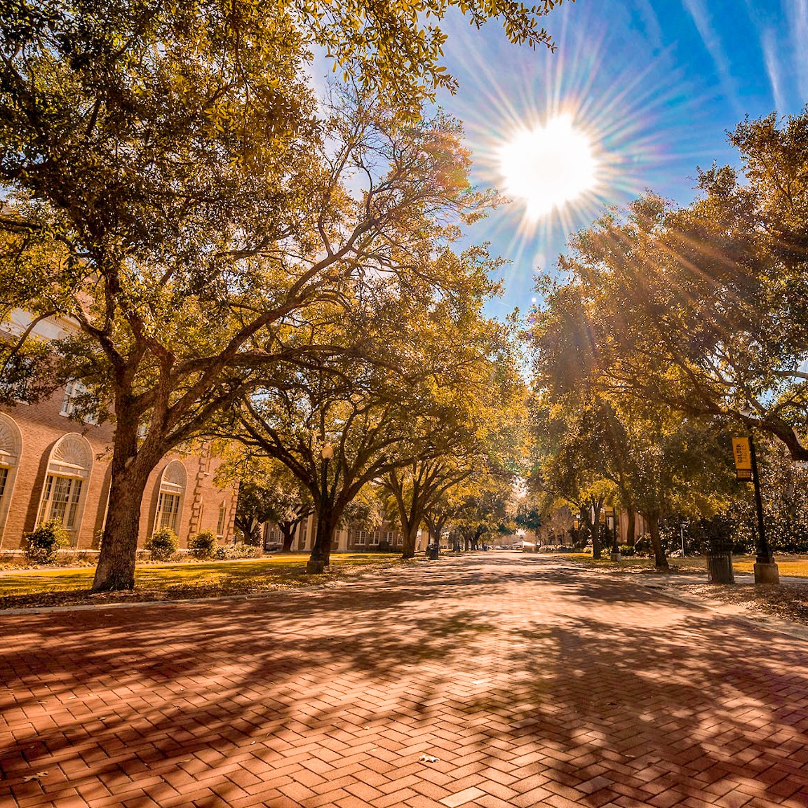 SouthernMiss's tweet photo. The Spring 2022 semester starts tomorrow!

Jan. 19: First day of classes
Feb. 28 and March 1: Mardi Gras Break
March 14 - 18: Spring Break
April 15: Good Friday holiday
May 9 - 12: Final exams https://t.co/88273NTdB6