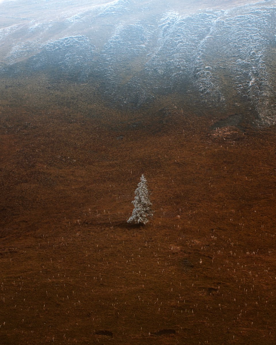 First frost in the Swiss Alps