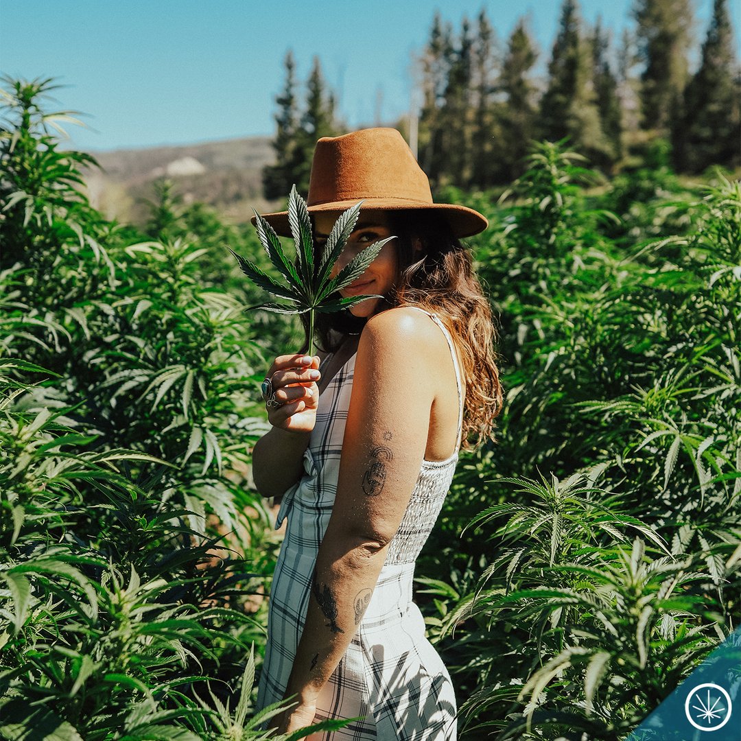 Look deep into nature, and then you will understand everything better. 
-Albert Einstein