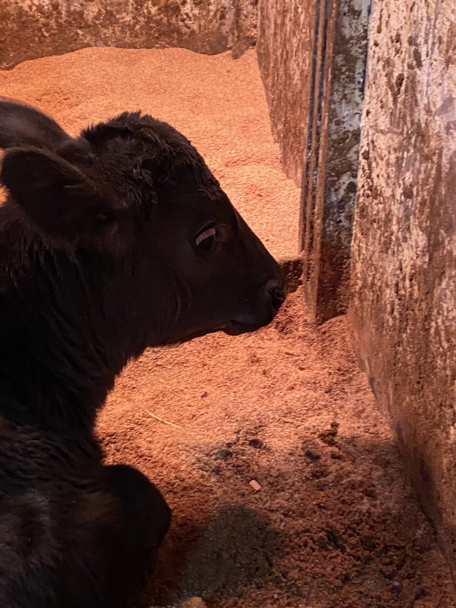 ar_i_'s tweet image. Σ('◉⌓◉’)‼️