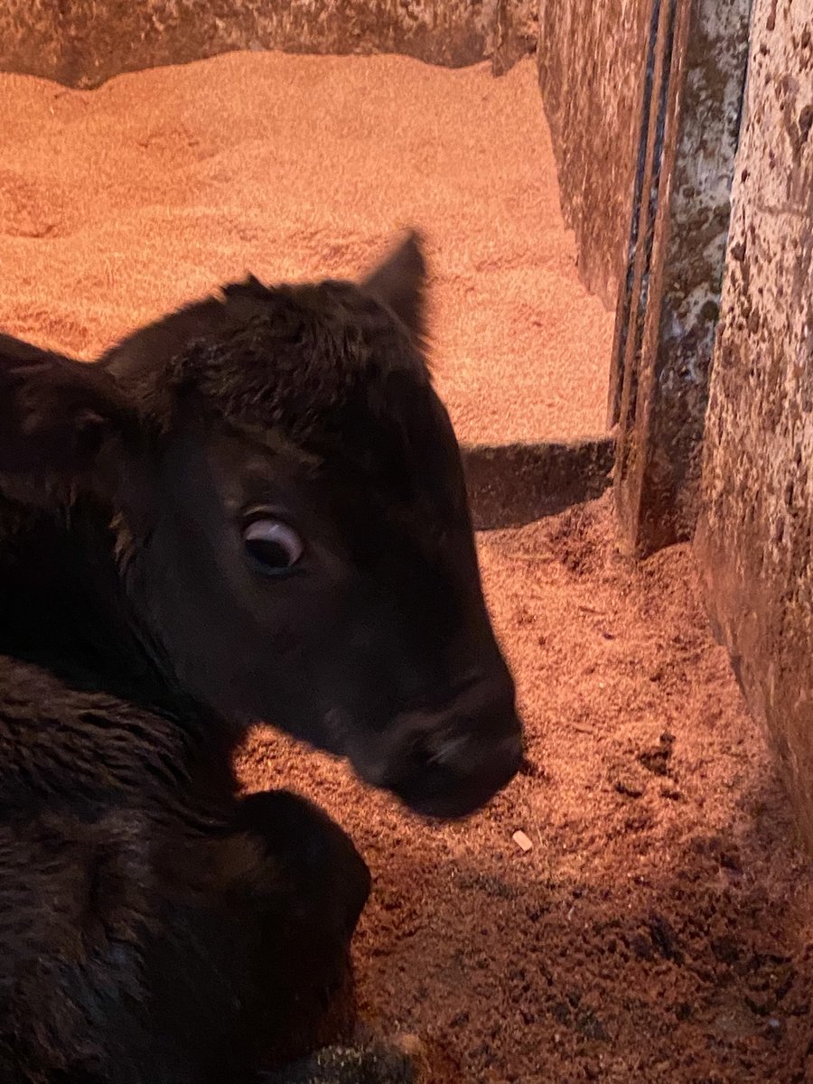 ar_i_'s tweet image. Σ('◉⌓◉’)‼️