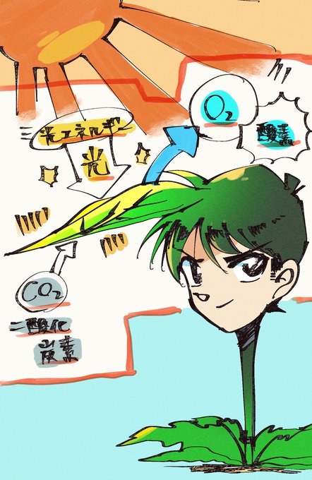 光合成のtwitterイラスト検索結果 古い順