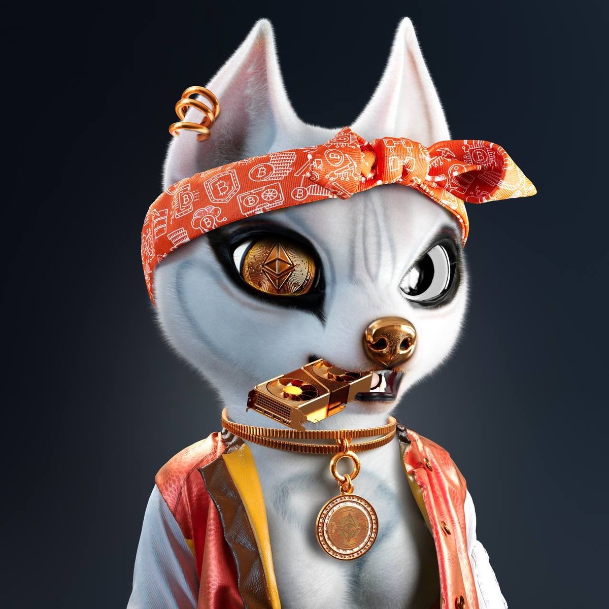GAvery2002's tweet photo. @NFTAnderson a new look has been added to @Executivehusky1  FEMALES!! https://t.co/8nTBJ6EHqw