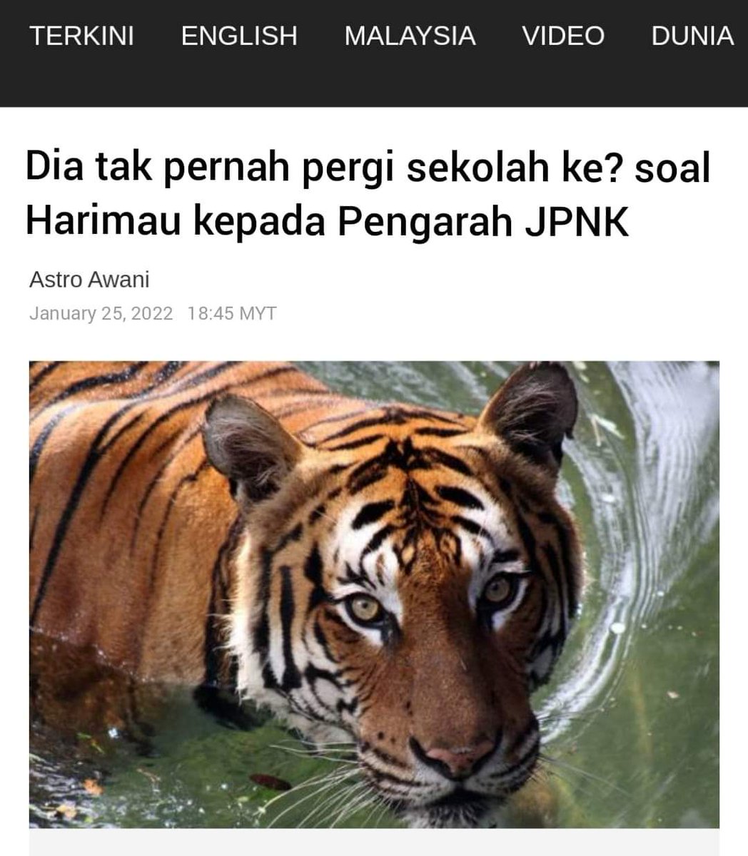 pandalicious18's tweet photo. Harimau bangkit 😂😂 wtf https://t.co/FSYgJihdJb