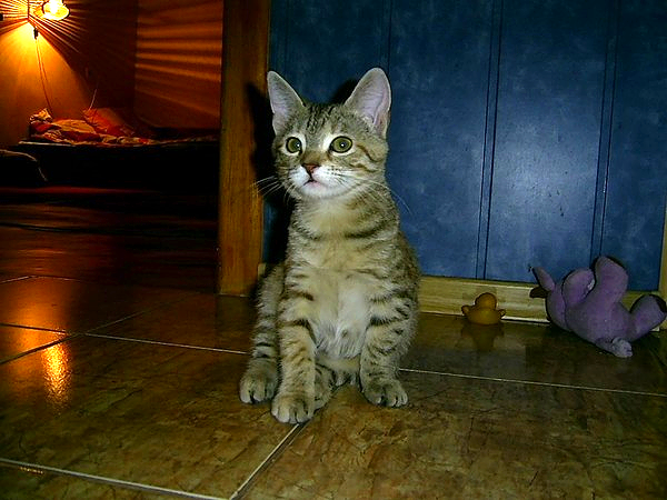 facebook.com/glebbobrov0665…