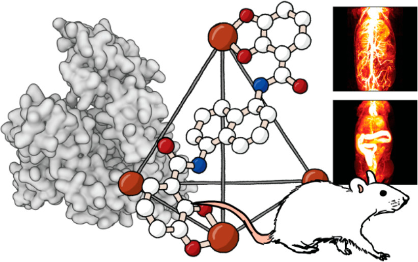 bhkenlo's tweet photo. Metal−Organic Polyhedron with Four Fe(III) Centers Producing Enhanced T1 Magnetic Resonance Imaging Contrast in Tumors https://t.co/n0e4P8COYZ @cooklab_ub Morrow, and co-workers @InorgChem #iron #catecholate #MOP #MRT #FTICRMS #HSA #enhancedrelaxivity #tumor
🧲📷🐁 https://t.co/7qvqoKf1Pf