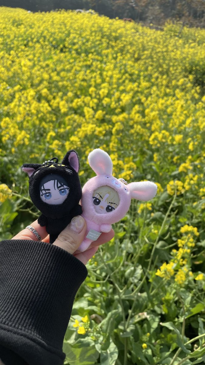 Lilo_xoxo_'s tweet photo. 제이유한과 함께하는 유채꽃밭 나들이
#페이백 https://t.co/yhUFSHpXBV