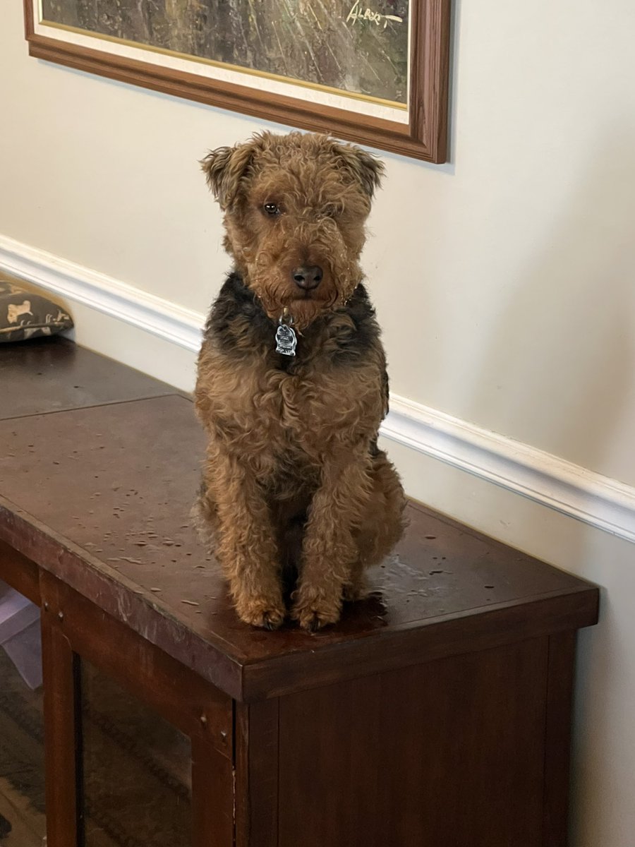 guy451m's tweet image. 