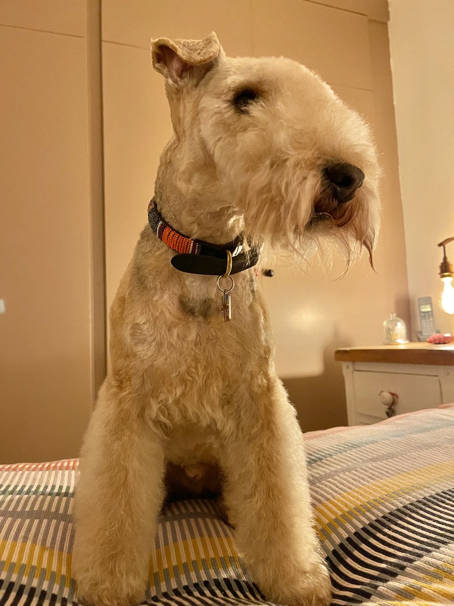 Oh my word my old account is working again I think I will keep them both going just in case thank you everyone for all of your support today you’re all absolutely amazing ❤️❤️❤️