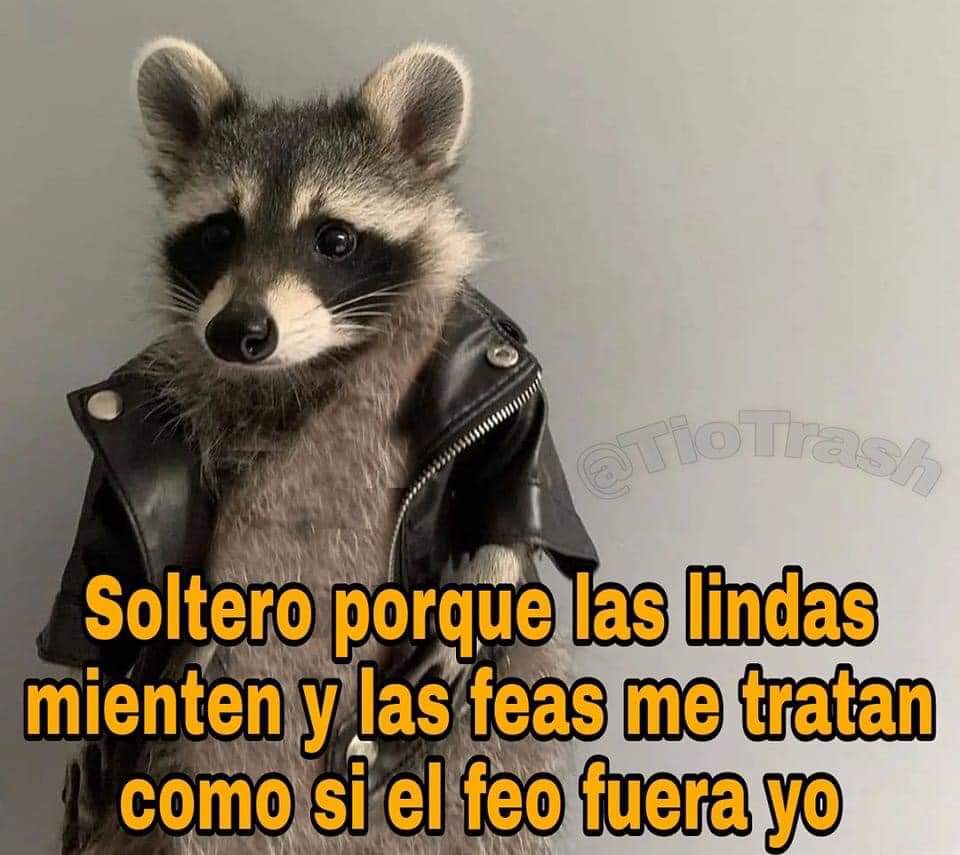 Así dice mi amigo 😂😂, image size:960x855