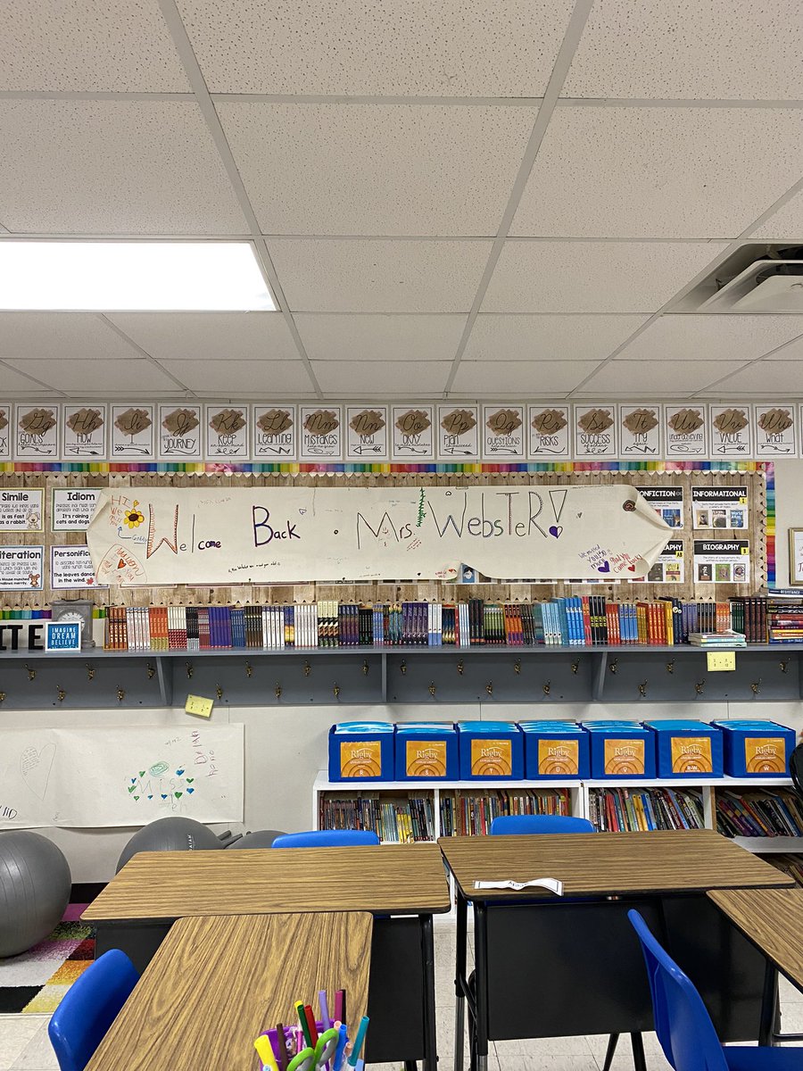 Suzanne Webster tweet media