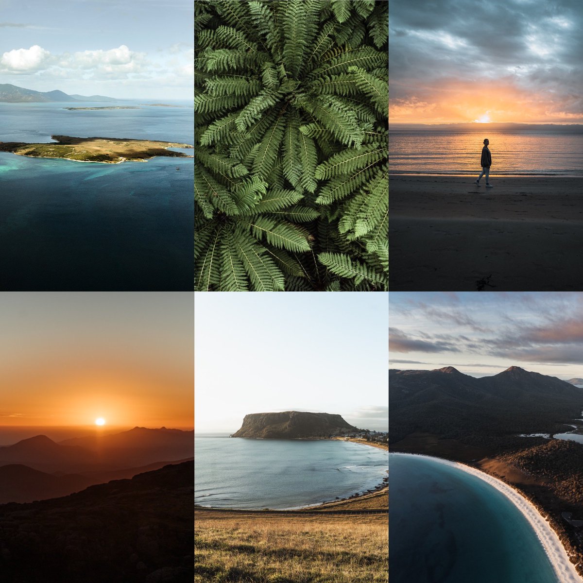 OscarSloane tweet media