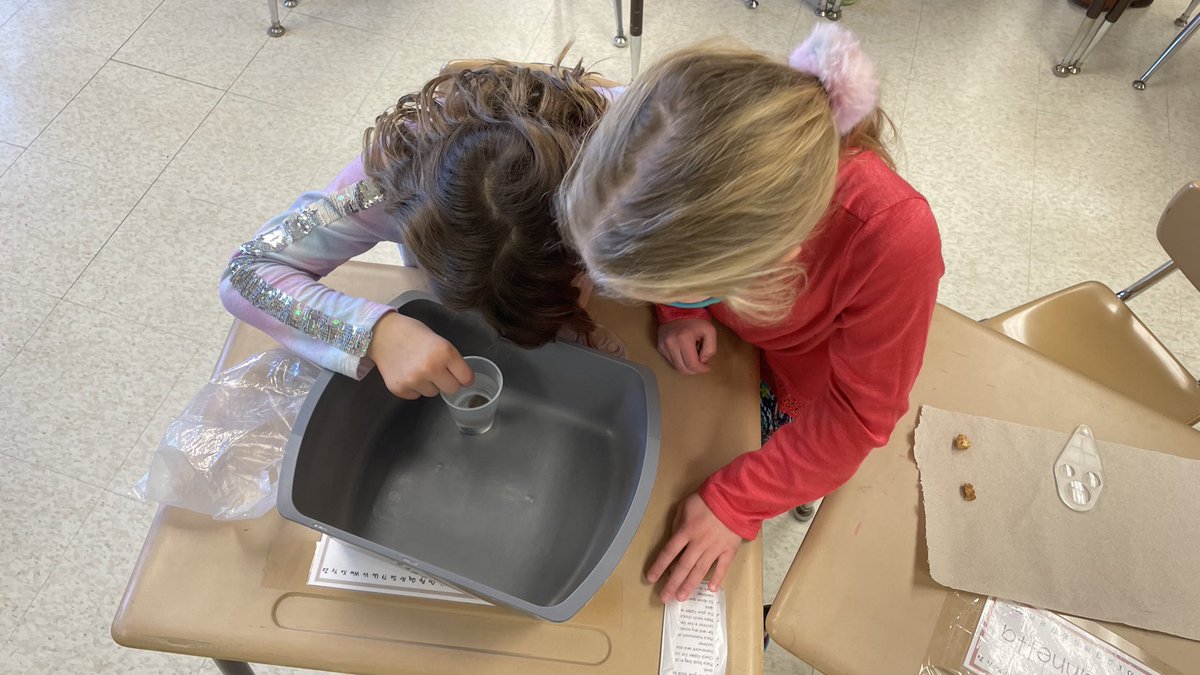 lechner_edu's tweet image. Geologists at work!!!🪨 #FOSSscience  #EastPennPROUD @EastPennSD @epsdmacungie