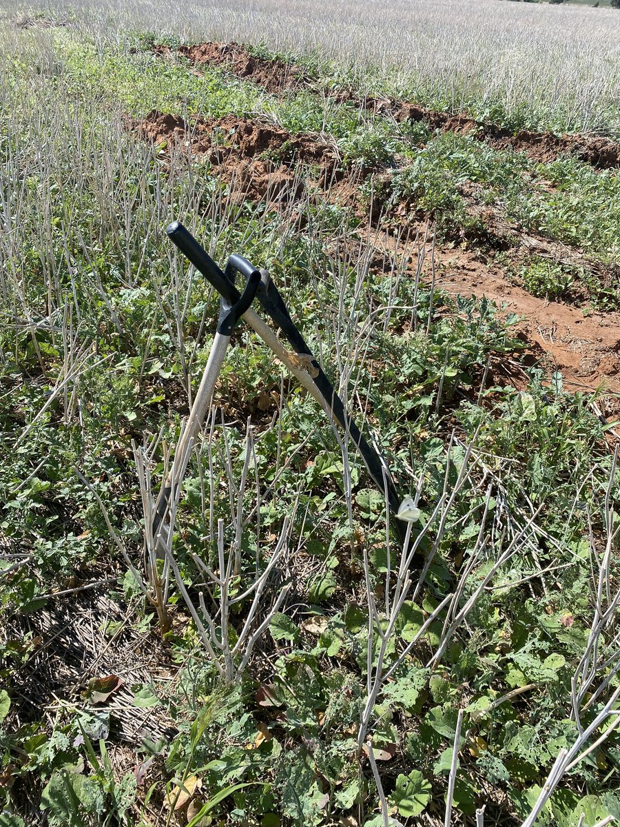 John Stevenson tweet media