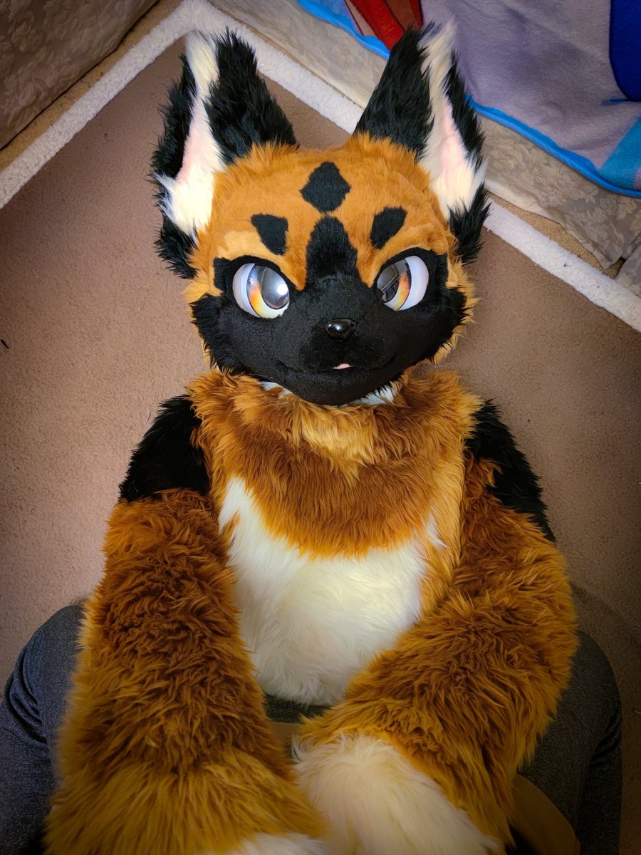 お…おはようございますけど…
ボ…ボクを座って何かするの！？