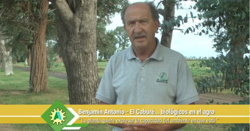 elcabureinsumos's tweet photo. Enterate por qué recomendamos el uso de fertilizantes con hormonas y oligoelementos 💪 para potenciar el cultivo de soja 🌱
#elcaburébiológicosenelagro #biológicosenelagro #soja #raygreen #fertilizantesfoliares #fertilizantes #Bioestimulantes