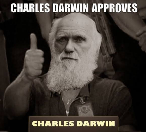 NebesElizabeth's tweet photo. @danieldamiani13 @jairbolsonaro Darwin awards https://t.co/HQinydd392