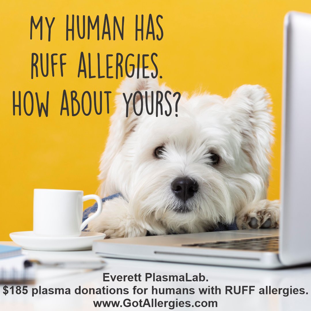 SURVIVAL TIP FOR DOGS WHEN YOUR HUMAN SNEEZES TOO MUCH: Duck and cover! Sneeze goo is hard to clean from dog fur. #allergies #everettwa #seattlewa #snohomish #pnw #earn185 #plasma