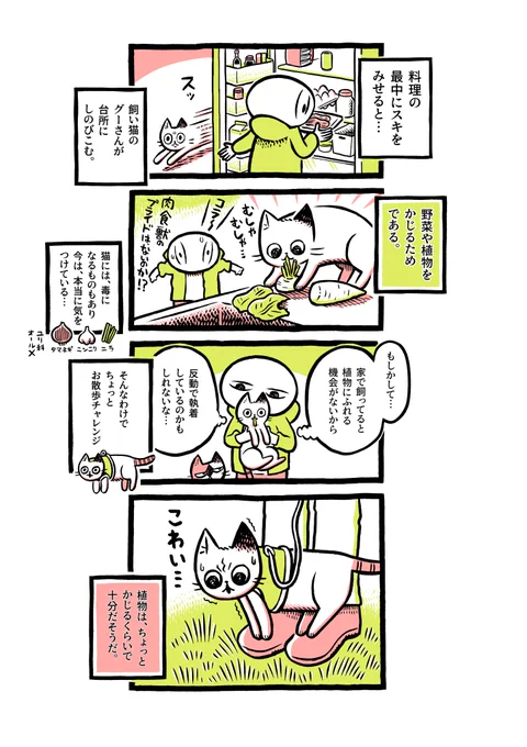 うちの猫さんは植物が好き 