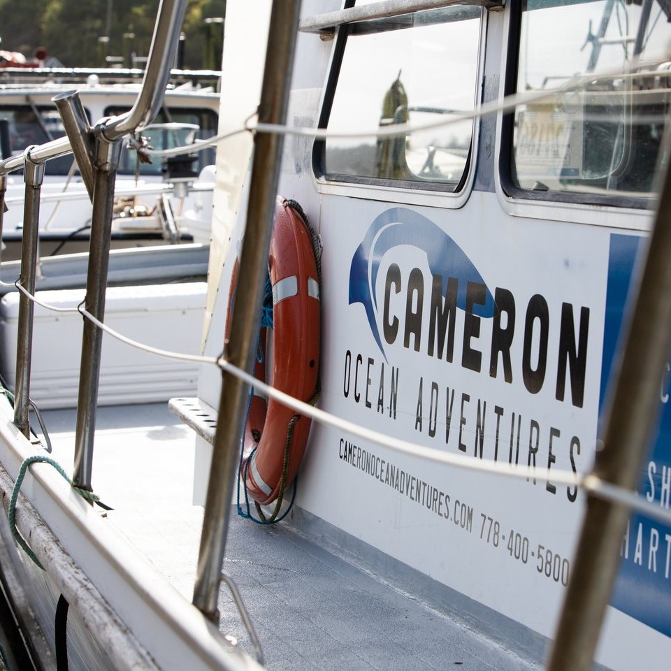 TourismUcluelet's tweet photo. Caleb Cameron is an experienced and local west coast guide who shares his love of the ocean and passion for fishing with each of his Cameron Sport Fishing guests! π£
#Ucluelet #MyUkee
Check them out for your next adventure: https://t.co/7O1vZPzHMn https://t.co/iS7NK7J0av