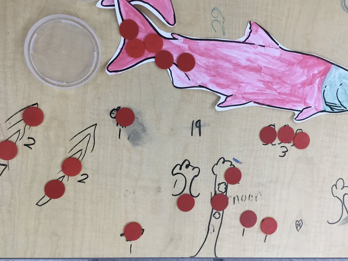 Building on our understanding of how the salmon help the forest as well as decomposing numbers. Students chose a number of nutrients to place on their salmon and then decided how they would share the nutrients with the forest. This student hasn’t finished hers yet.