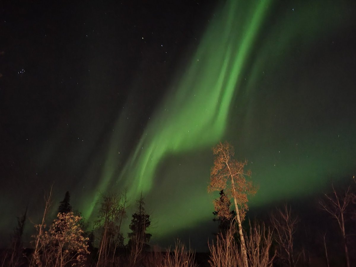 The winter makes for some pretty northern lights!! 
#RanchersWife #NorthernLiving #NorthernLights #WinterWonderland