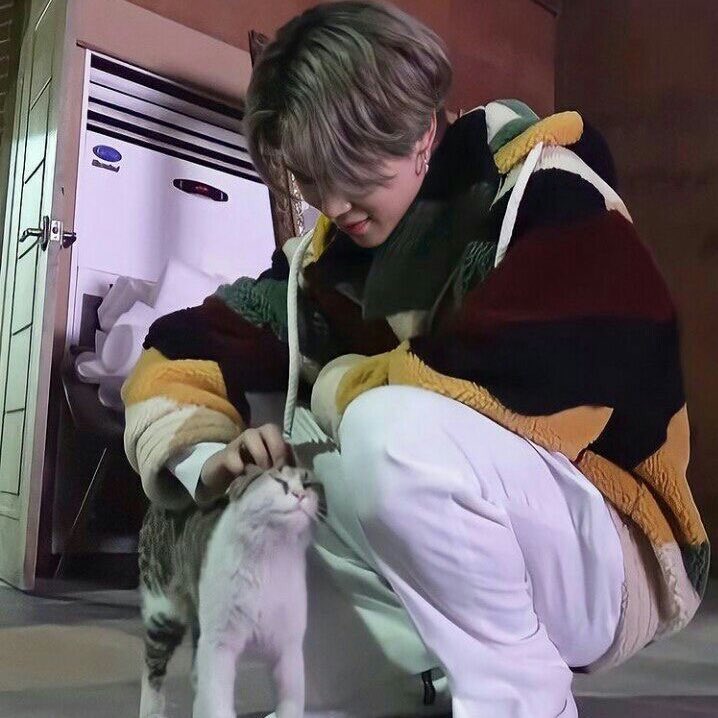 ⠀        
his favorite time of day is petting all the kitties ! 
⠀