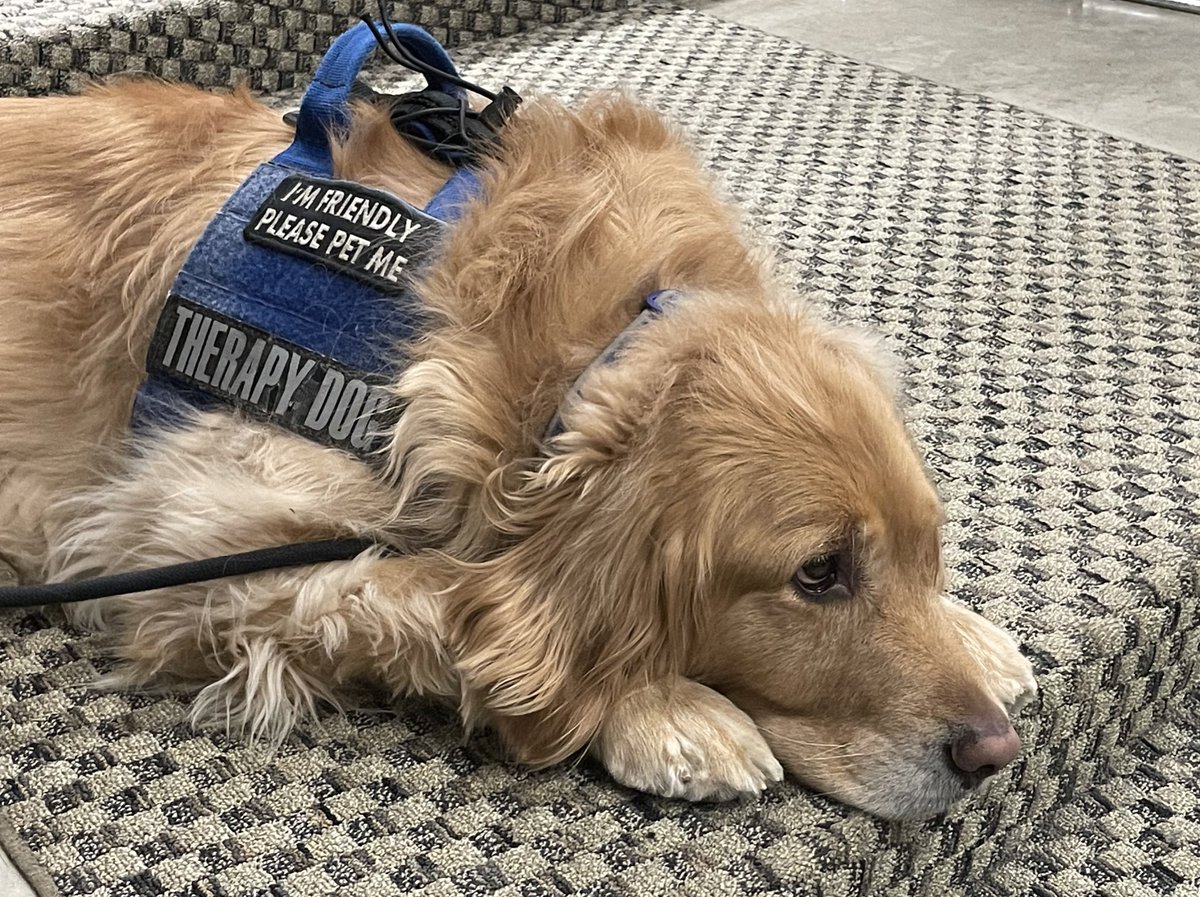 Tim Becker tweet media